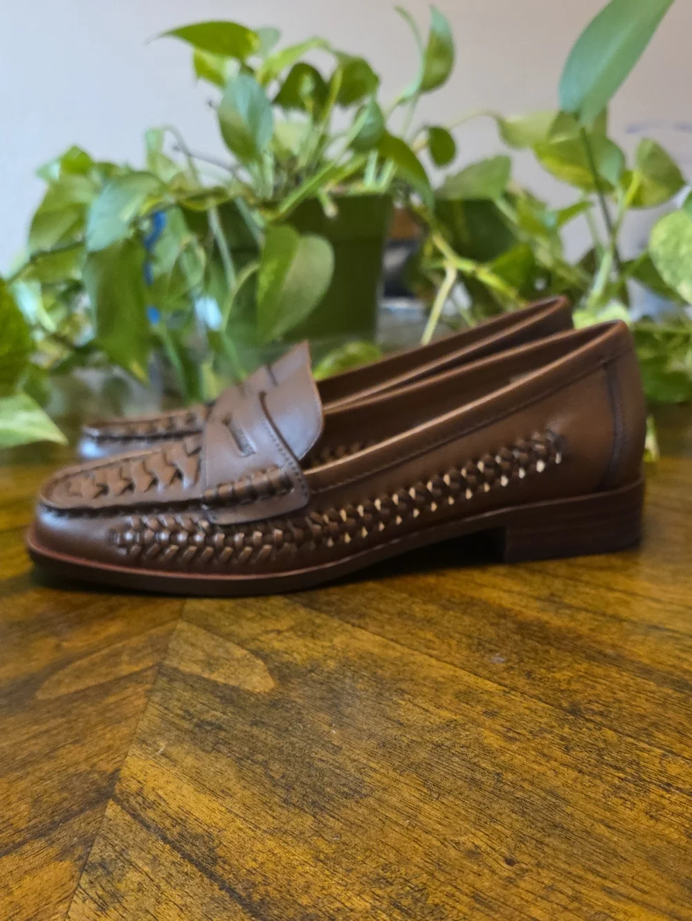 Gianni Bernini classic brown